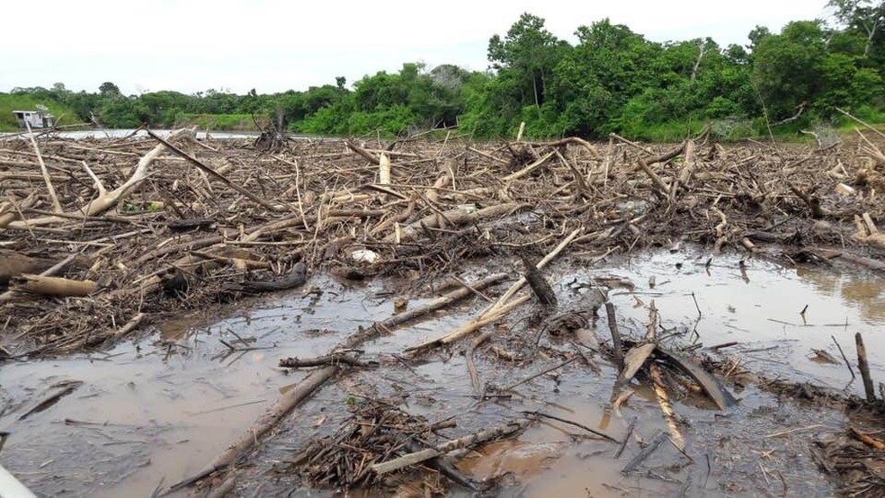 Situação é crítica no rio Miranda — Foto: Domingos Lacerda/TV Morena