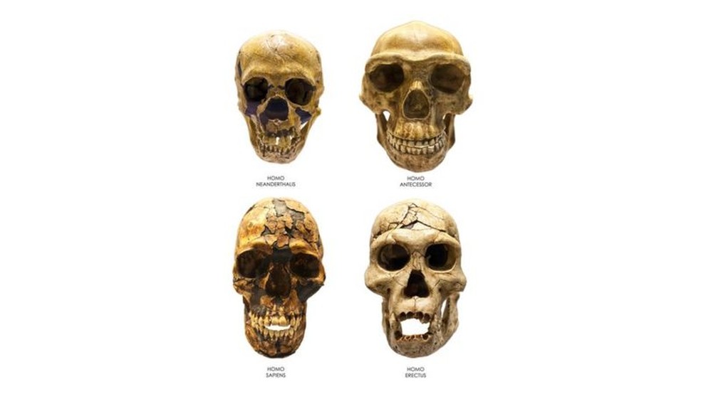 Os autores do estudo dizem que o Homo bodoensis pode ajudar a esclarecer aspectos da evolução dos humanos — Foto: Getty