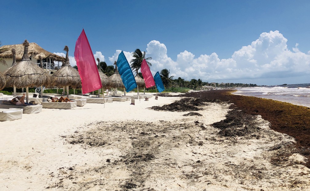 Algas marinhas que se acumulam na areia prejudicam movimento de quiosques de praia em Tulum, no México — Foto: Daniel Slim/AFP