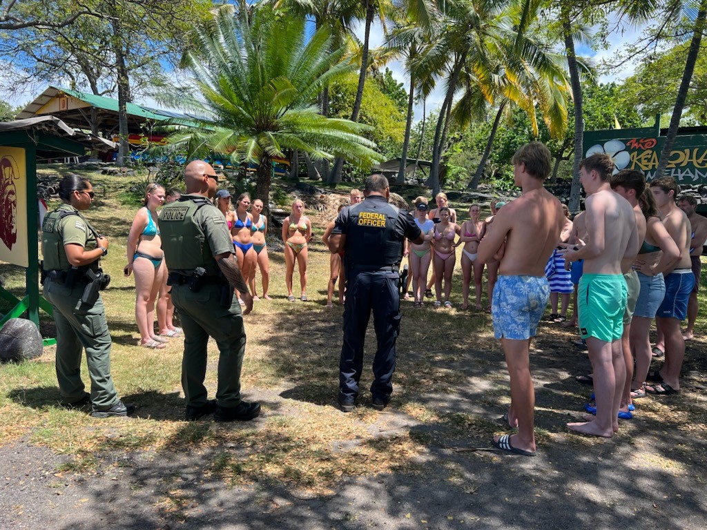 VÍDEO: Após perseguirem golfinhos, 33 pessoas são levadas para polícia no Havaí