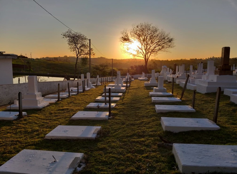 Cemitério Japonês em Álvares Machado — Foto: Heloise Hamada/G1