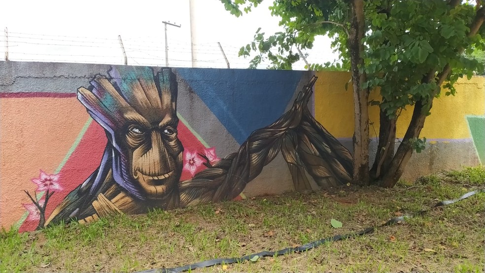 Grafite feito por alunos do CEF 08 em muro da escola. — Foto: Ana Luísa Santos/g1 DF