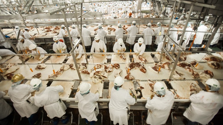 EUA preparam US$ 1 bilhão em crédito para aumentar concorrência na  indústria de carnes - Revista Globo Rural | Criação