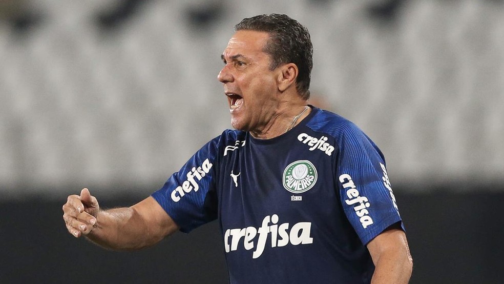 Vanderlei Luxemburgo, técnico do Palmeiras, contra o Botafogo — Foto: Cesar Greco / Ag. Palmeiras