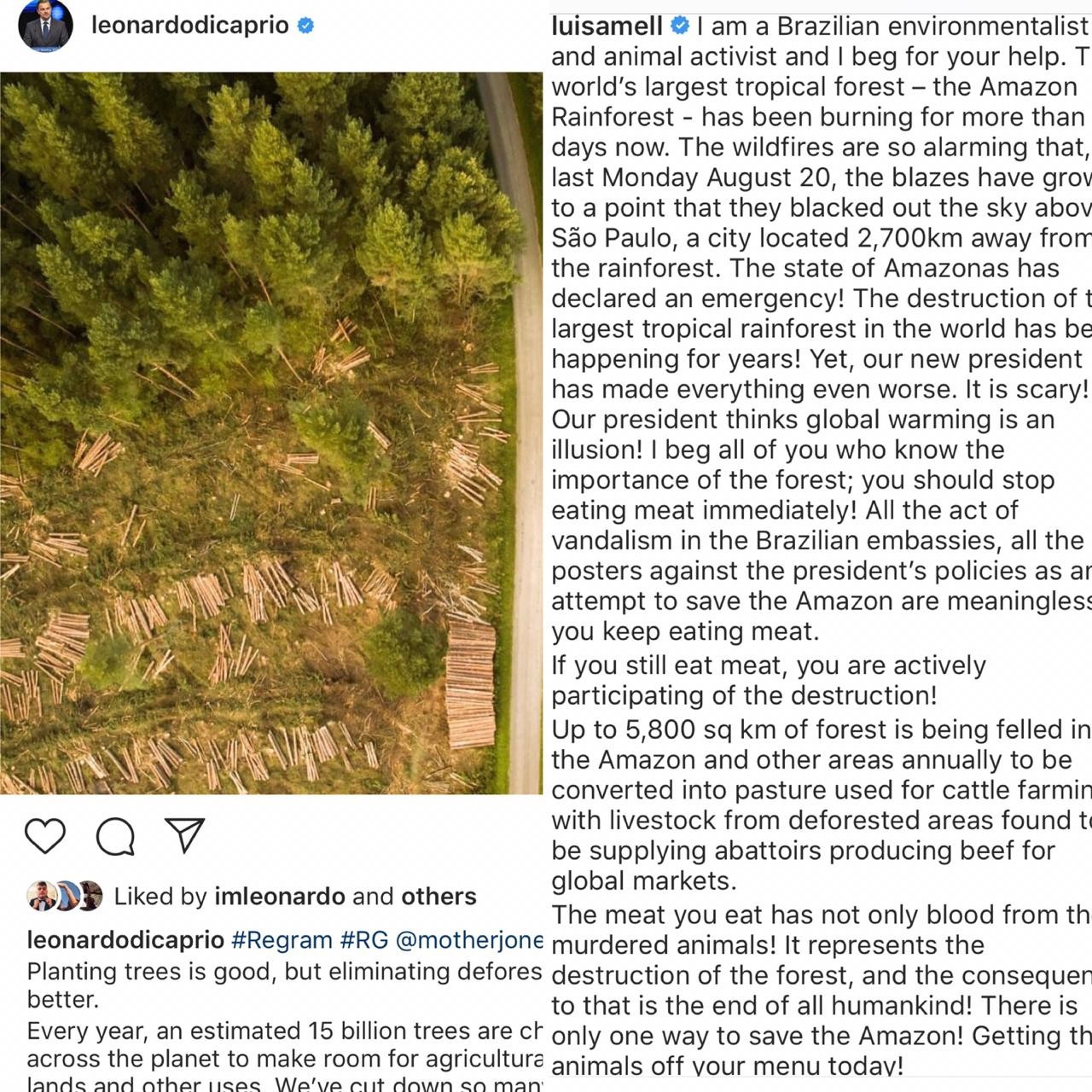 Post de Leonardo Dicaprio  (Foto: Reprodução Instagram)