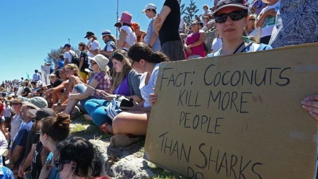 Liberação para caça de tubarões na Austrália causou controvérsia e foi duramente criticada (Foto: Getty Images via BBC News Brasil)
