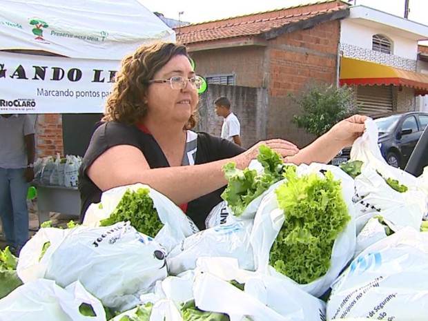 Projeto distribuiu 500 pés de hortaliças neste sábado (25) em Rio Claro (Foto: Reginaldo dos Santos/ EPTV)