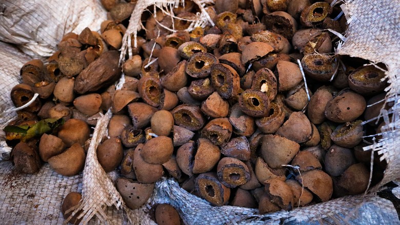 Castanhas de baru, fruto típico do Cerrado (Foto: Iasmim Amiden/WWF-Brasil)