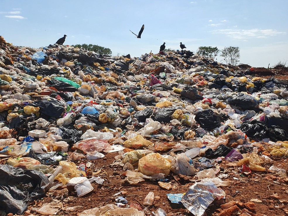 Flagrante em Igaraçu do Tietê — Foto: Tribunal de Contas do Estado de São Paulo/Divulgação