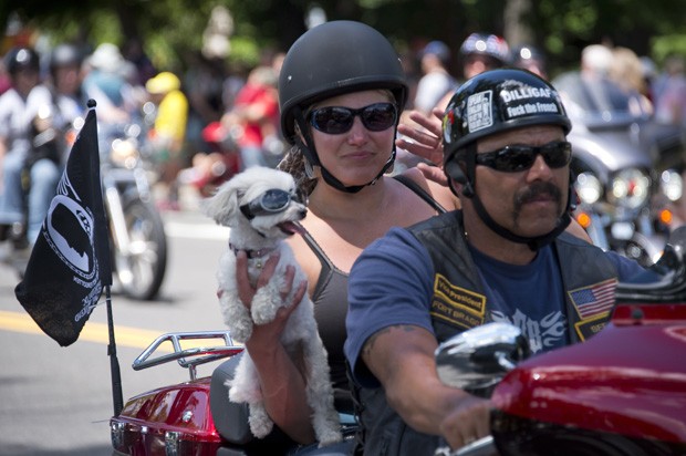 'Cão motociclista' foi fotografado de óculos enquanto passeava com os donos em parada em Washington, nos EUA (Foto: Mladen Antonov/AFP)