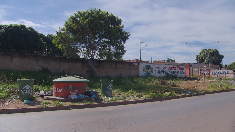 Vigilância Ambiental encontra lixo próximo à escola de Ceilândia, no Distrito Federal, onde 15 pessoas pegaram dengue  — Foto: TV Globo/Reprodução 