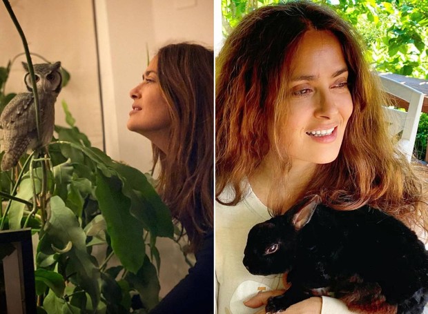 Salma Hayek com sua coruja, Kering, e o coelho, Lullaby  (Foto: Instagram/ @salmahayek/ Reprodução)