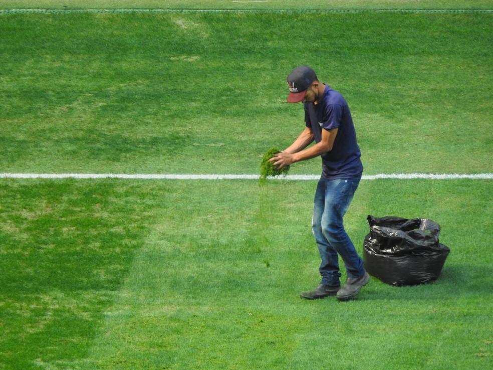 FuncionÃ¡rio trabalha no gramado da arena do Palmeiras horas antes do jogo contra o Vasco â€” Foto: Felipe Zito