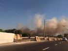 Incêndio de grandes proporções atinge Parque do Cocó, em Fortaleza