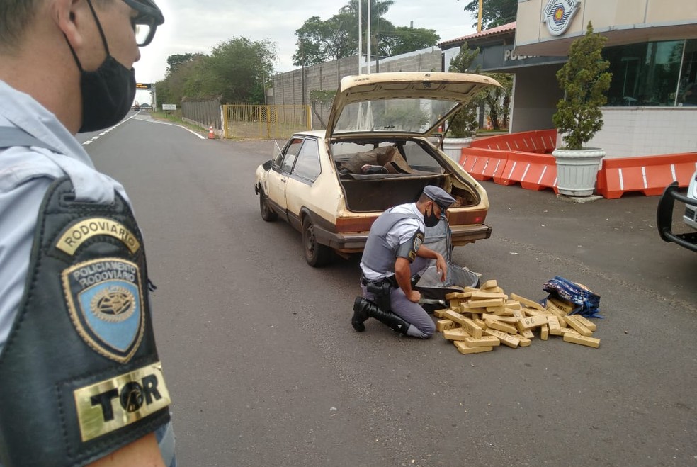Segundo a polícia, droga apreendida em Marília seria levada para Minas Gerais — Foto: Polícia Rodoviária/Divulgação