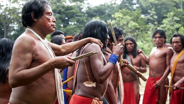 Povo indígena, que ocupa território no Amapá e na Guiana Francesa e quase foi dizimado nos anos 1970 após contato com não-índios, é reconhecido por conseguir manter o equilíbrio entre o passado e presente (Foto: FIONA WATSON/SURVIVAL INTERNATIONAL)
