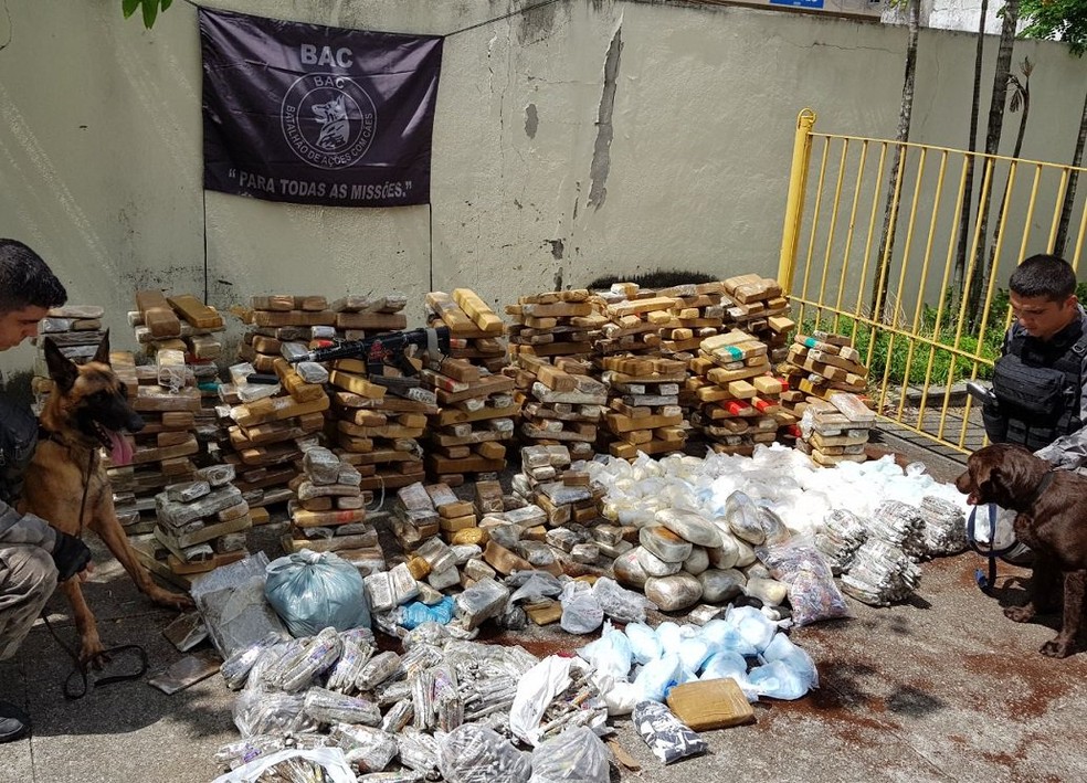 Drogas apreendidas somaram mais de uma tonelada (Foto: Reprodução/ PMERJ)