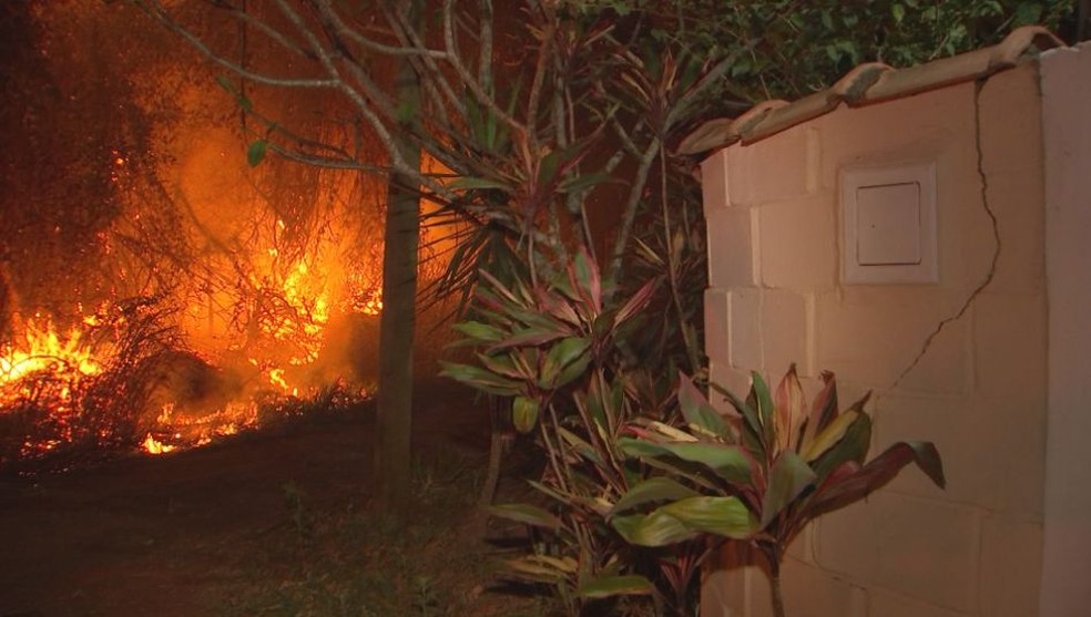 Moradores tentaram evitar que o fogo chegasse até as casas (Foto: Bob Rodrigues / TV TEM)