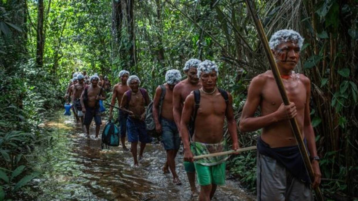 племена в бразилии