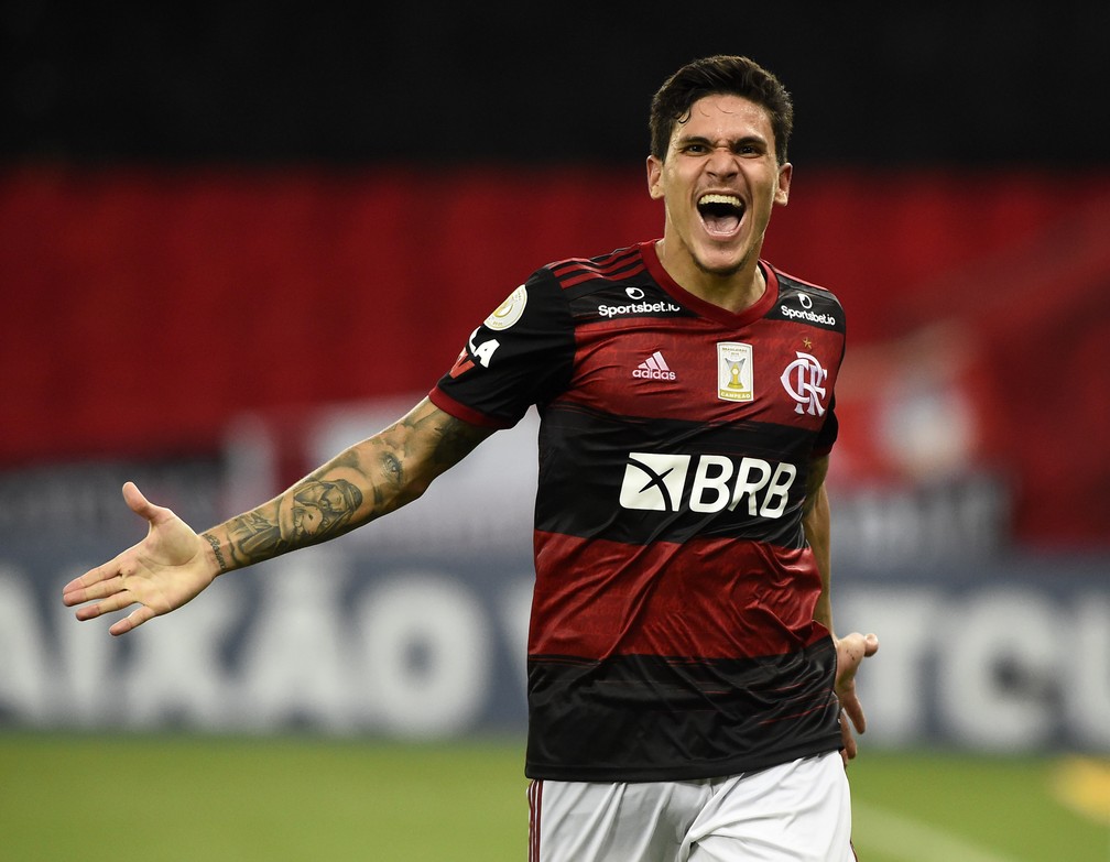 Flamengo x Goiás Pedro — Foto: ANDRÉ DURÃO