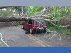 Árvore cai em cima de carro na ES-162, no Sul do ES