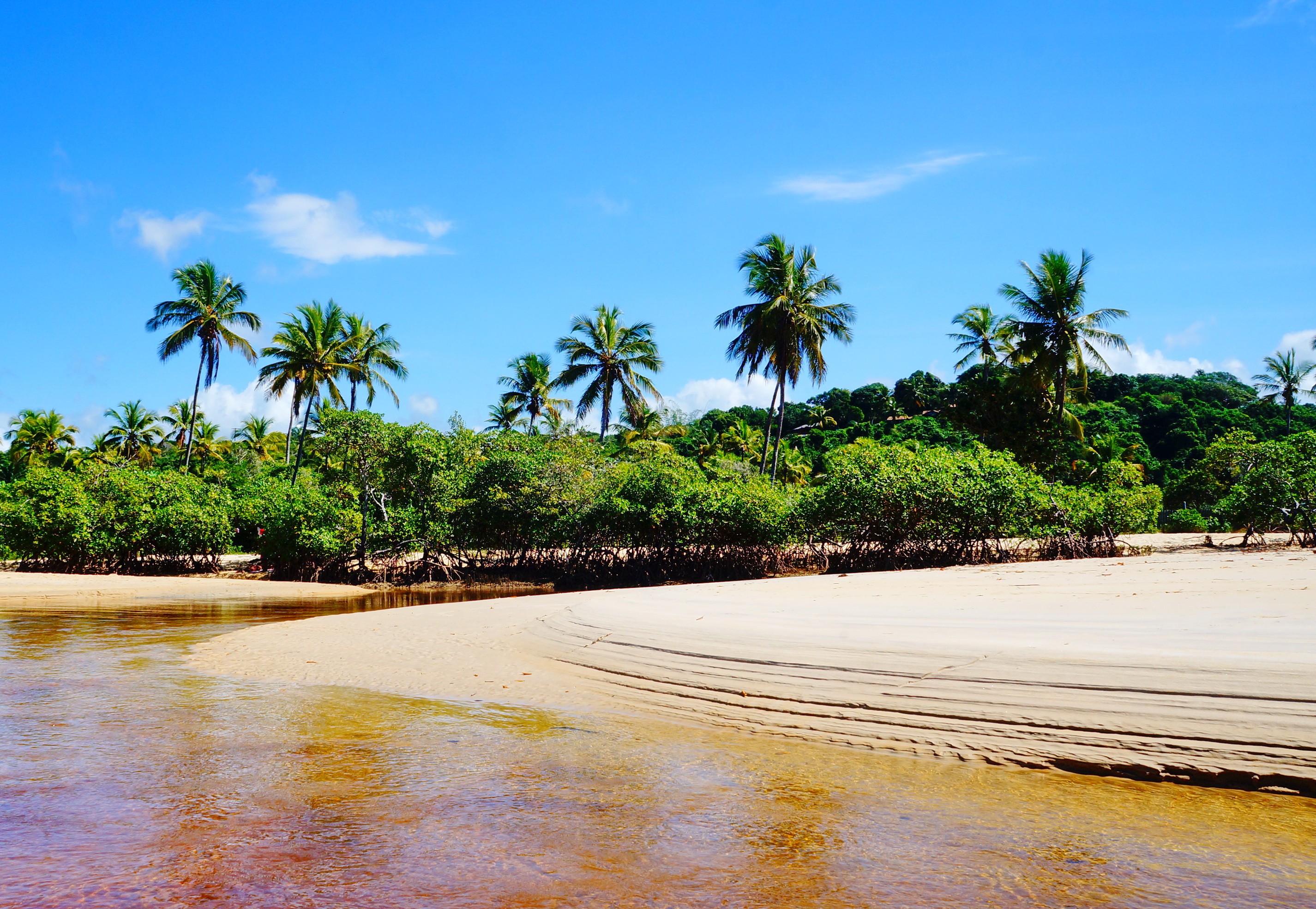 Praia dos Coqueiros (Foto: Getty Images)