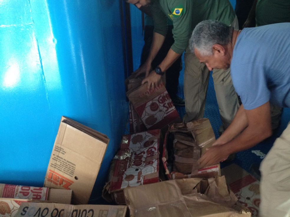 Peixes ornamentais estavam acondicionados em sacolas plásticas com oxigênio dentro de caixas de papelão (Foto: Polícia Militar/Divulgação)