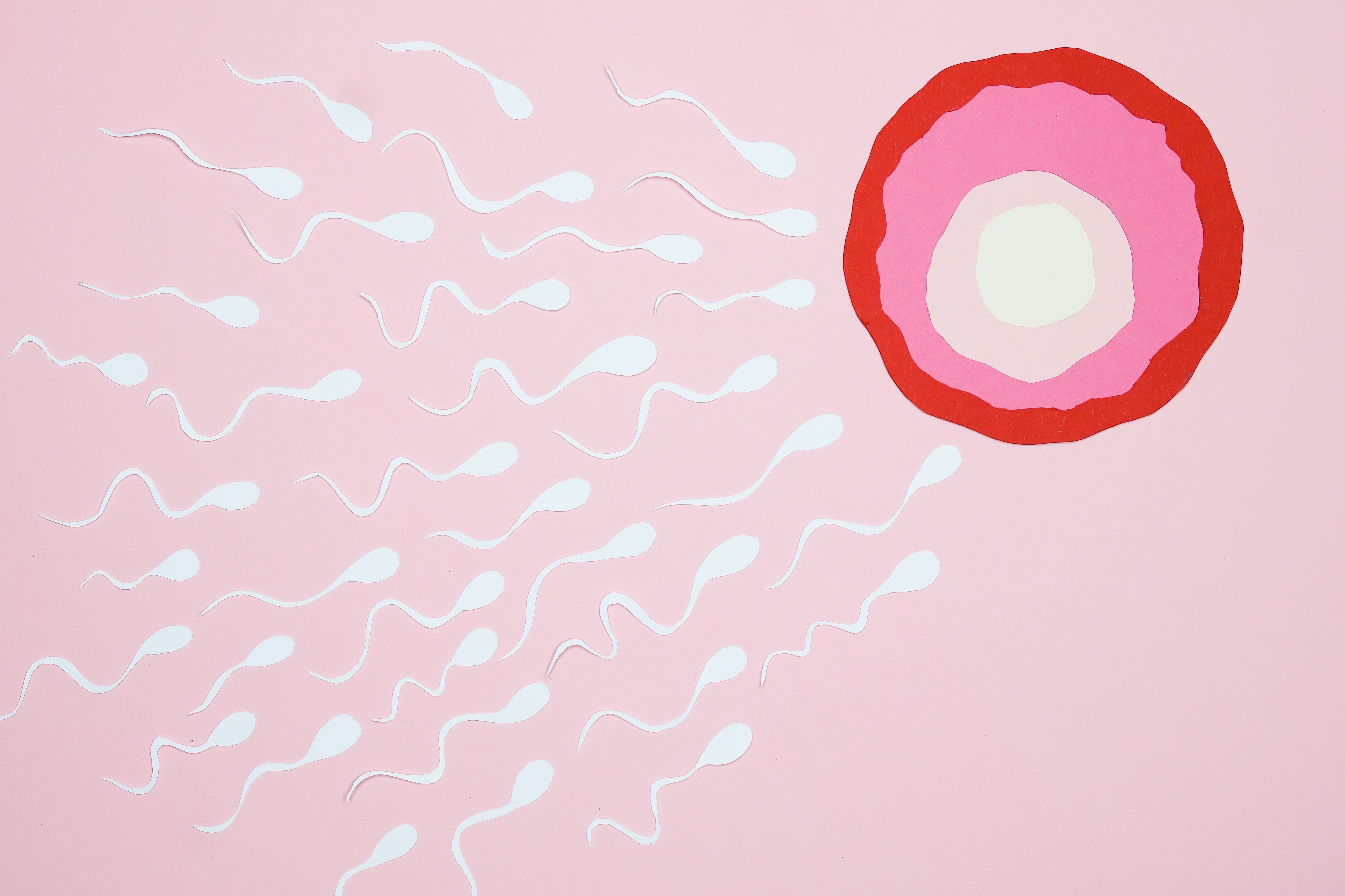 Ilustração de espermatozoides (Foto:  Nadezhda Moryak/Pexels)