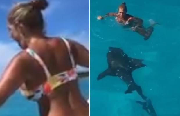 Mulher é surpreendida por tubarão de 3 metros ao pular em alto mar: 
