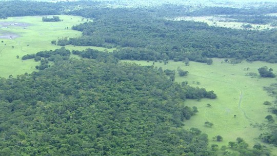 Foto: (Reprodução/Rede Amazônica)