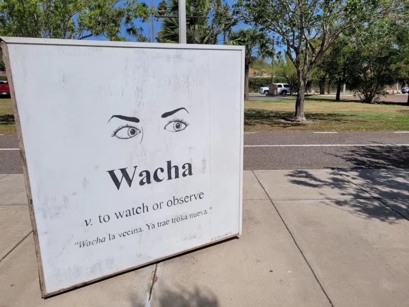 'Wacha' significa observar (Foto: ANALÍA LLORENTE via BBC News)