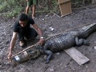 Moradores de reserva extrativista em RO exploram couro e carne do jacaré