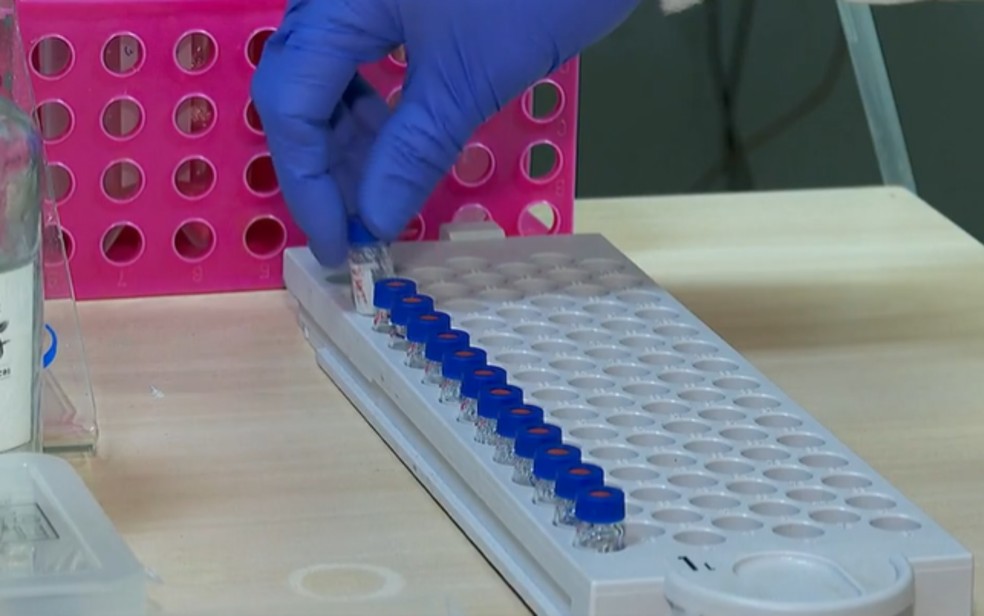 Resultados de análises de substâncias químicas servem para auxiliar médicos no diagnóstico de doenças — Foto: Ronaldo Gomes/EPTV