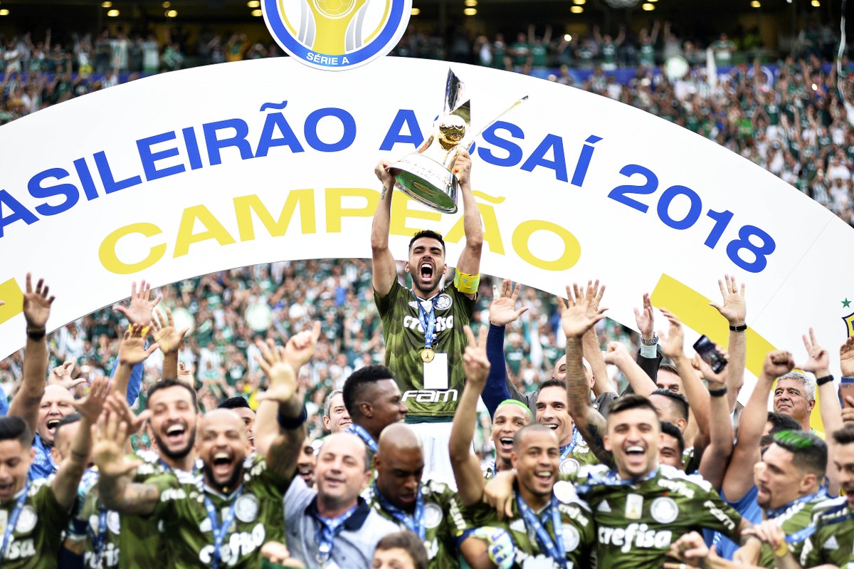 Image result for palmeiras campeao brasileiro 2018 titulo