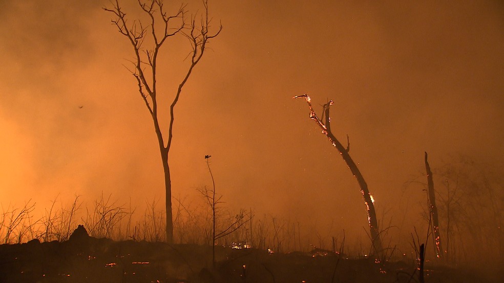 Fogo atinge vegetação no Parque Nacional de Brasília — Foto: Joelson Maia/ TV Globo