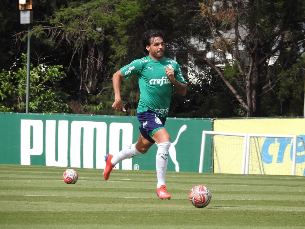 Ricardo Goulart vem se recuperando rapidamente no Palmeiras e vai jogar PaulistÃ£o â€” Foto: Felipe Zito