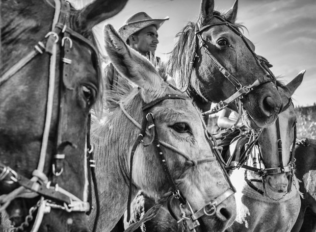 "Cavalgados" é uma das fotografias de Marcelo Oséas que estará na exposição no hotel Tivoli Mofarrej São Paulo a partir do dia 19 de agosto (Foto: Marcelo Oséas / Divulgação)
