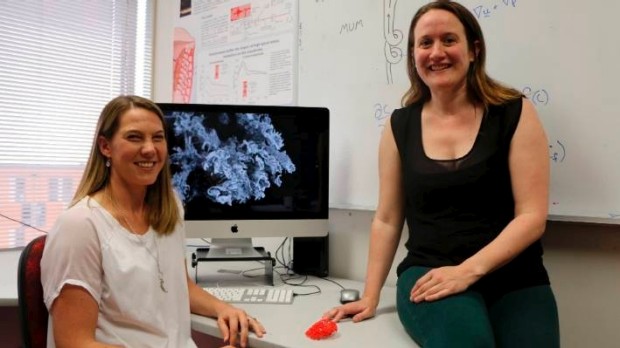 As pesquisadoras Alys Clarke e Jo James na Universidade de Auckland (Foto: Divulgação)