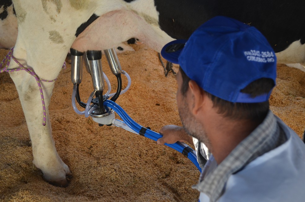 Tecnologia é um dos caminhos para que o produtor de leite consiga se manter na atividade — Foto: Eliete Marques/G1