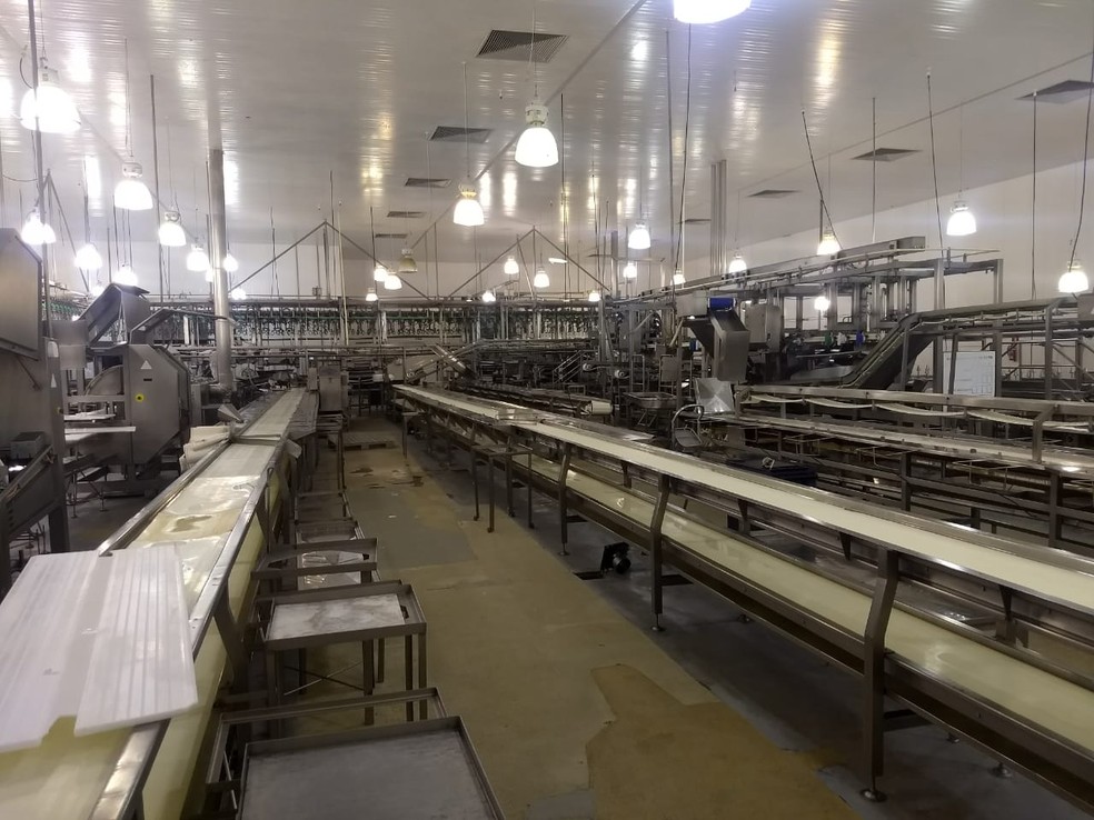 A Coopavel, em Cascavel, dispensou nesta quarta-feira 2,4 mil funcionários; cooperativa é responsável pelo abate de 220 mil frangos por dia (Foto: Cícero Bittencourt/RPC)