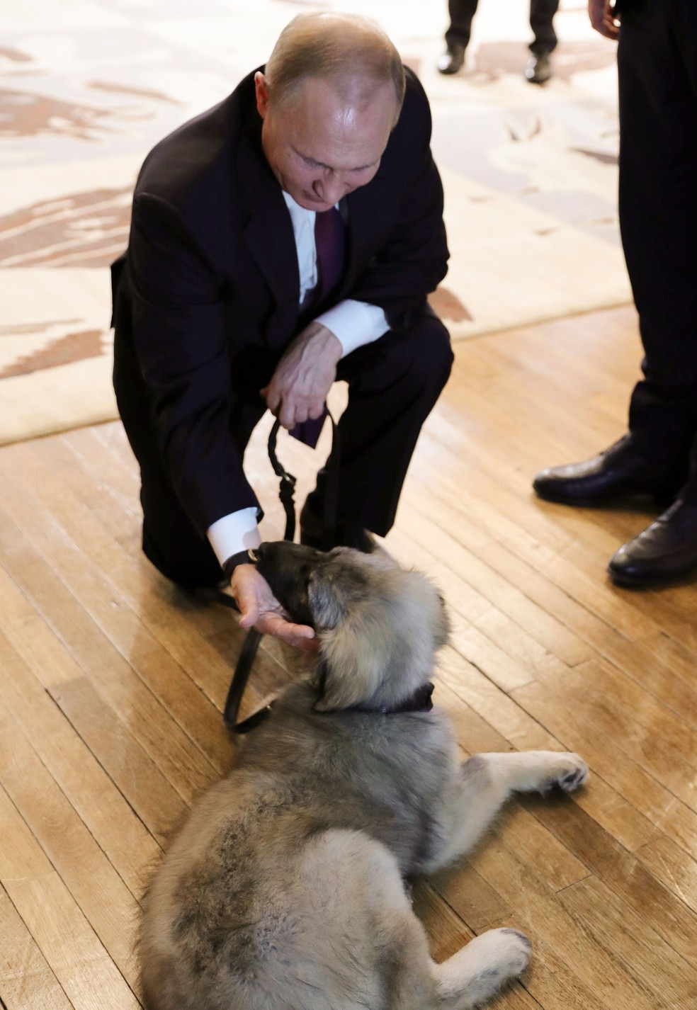 O presidente da Rússia, Vladimir Putin, brinca com filhote da raça pastor iugoslavo que ganhou do presidente da Sérvia, Aleksandar Vučić, durante encontro em Belgrado, na quinta-feira (17) — Foto: Mikhail Klimentyev, Sputnik, Kremlin Pool Photo via AP