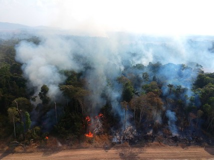 Incêndio à beira da BR-163, no Pará, se espalha para dentro da floresta. Fotos: Emiliano Capozoli/Ed.Globo