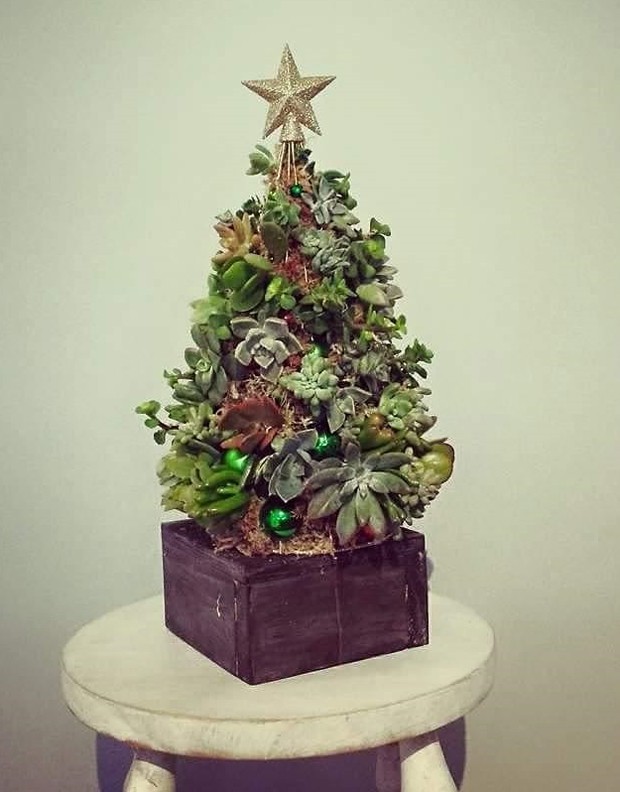 árvore-natal-suculentas (Foto: Reprodução / Instagram)