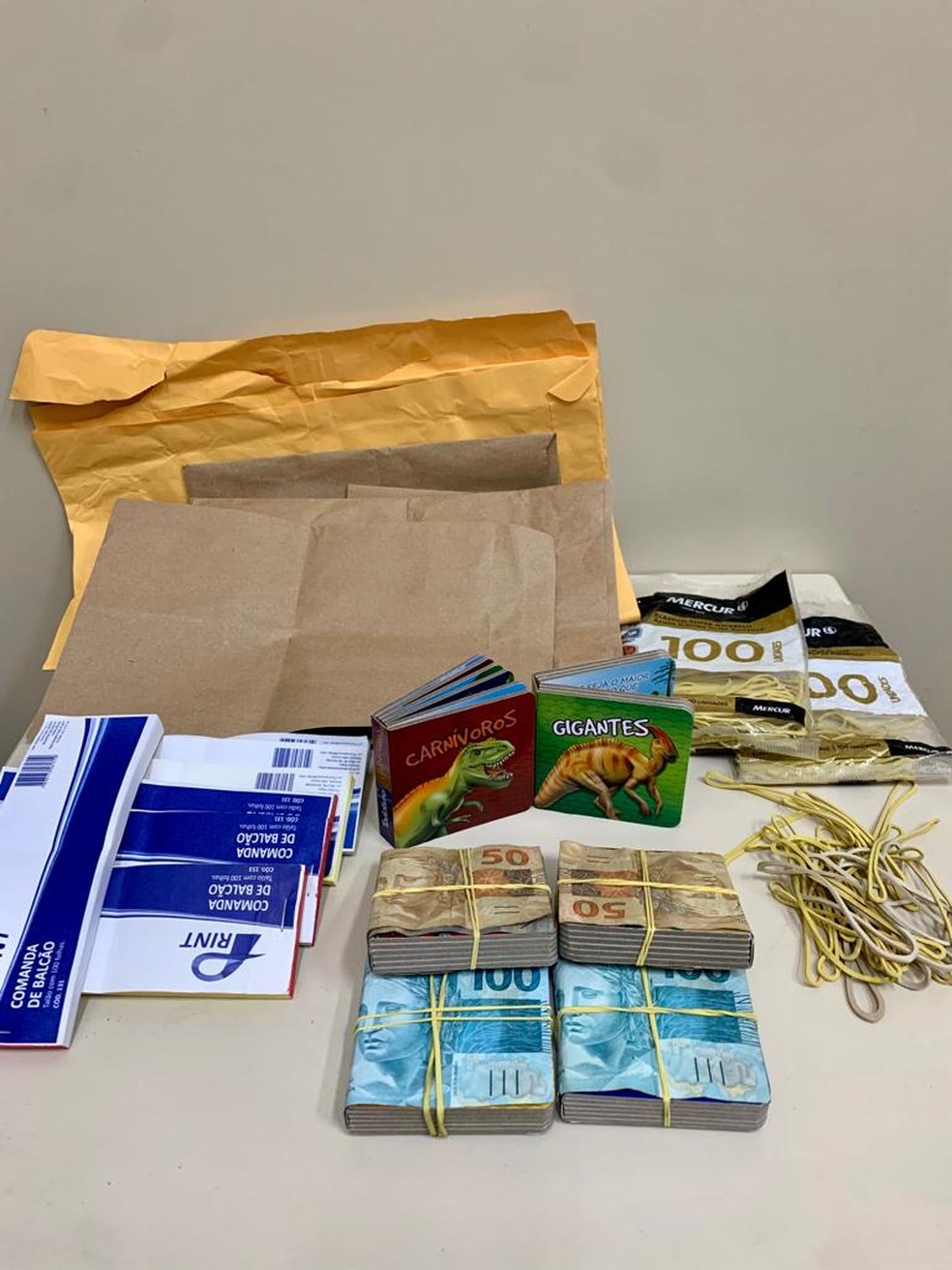 Livros infantis eram utilizados para iludir idosos — Foto: Divulgação