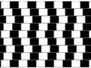 Imagem enviada por físicos dá exemplo de ilusão de ótica: linhas tortas ou retas?
