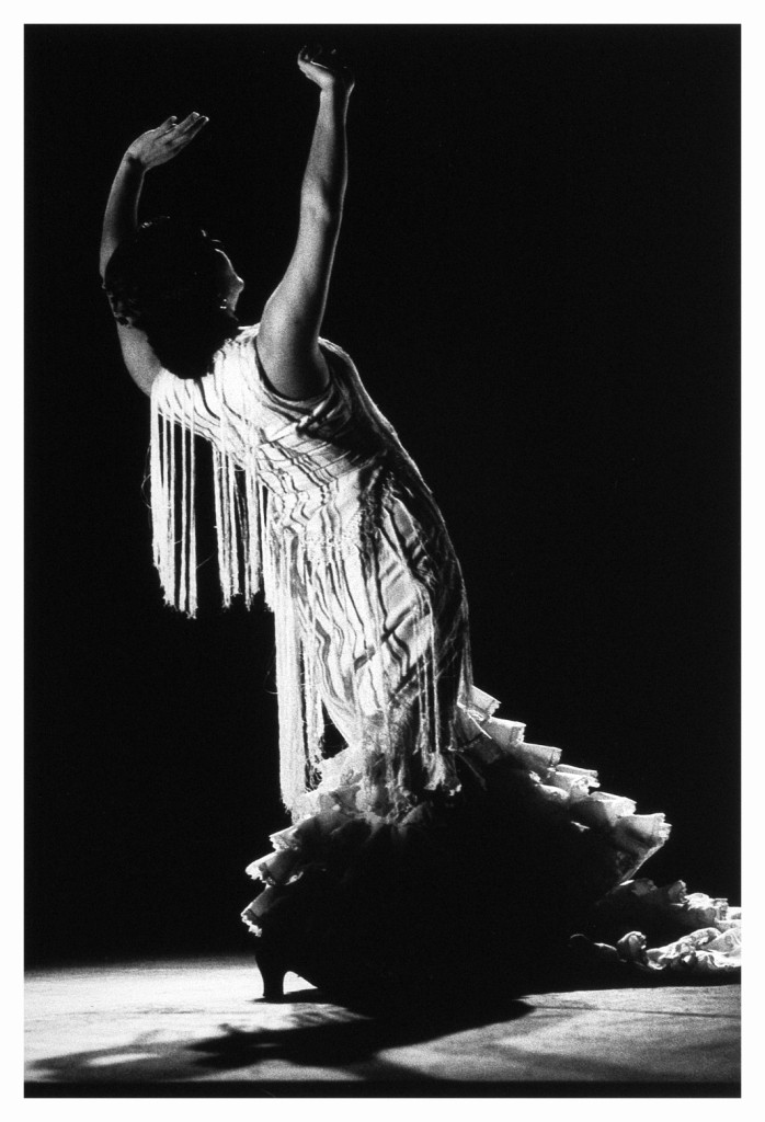 Flamenco (Foto: René Robert)