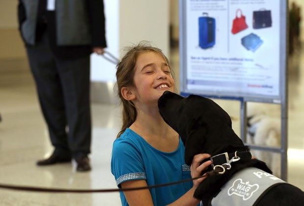 Garota brinca com Donner no aeroporto internacional de Los Angeles (Foto: Justin Sullivan/Getty Images/AFP)