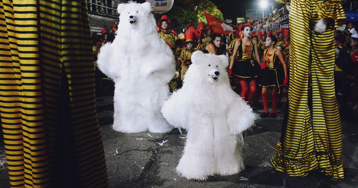 Urso joga o feriado russo balalaica carnaval. tradução para o