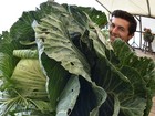 Lista reúne repolho de quase 24 kg e mais vegetais gigantes