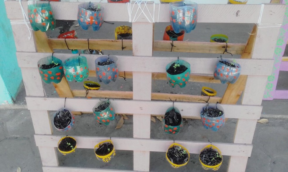 Materiais recicláveis ajudam a compor a horta dos alunos (Foto: Semente do Amanhã/Divulgação)